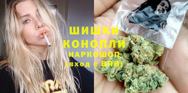 сатива Заволжск