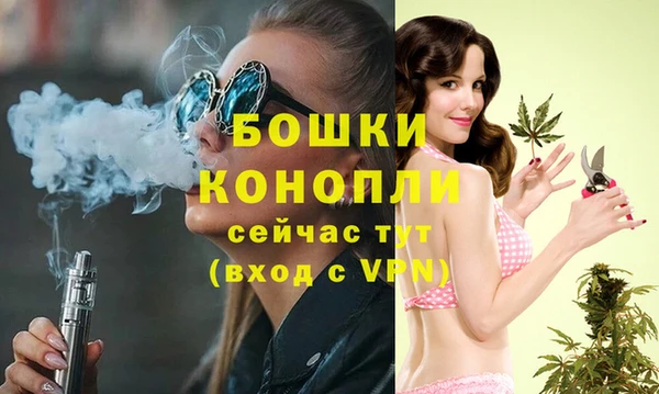 гашик Заволжье